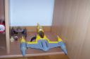 collection_016.jpg