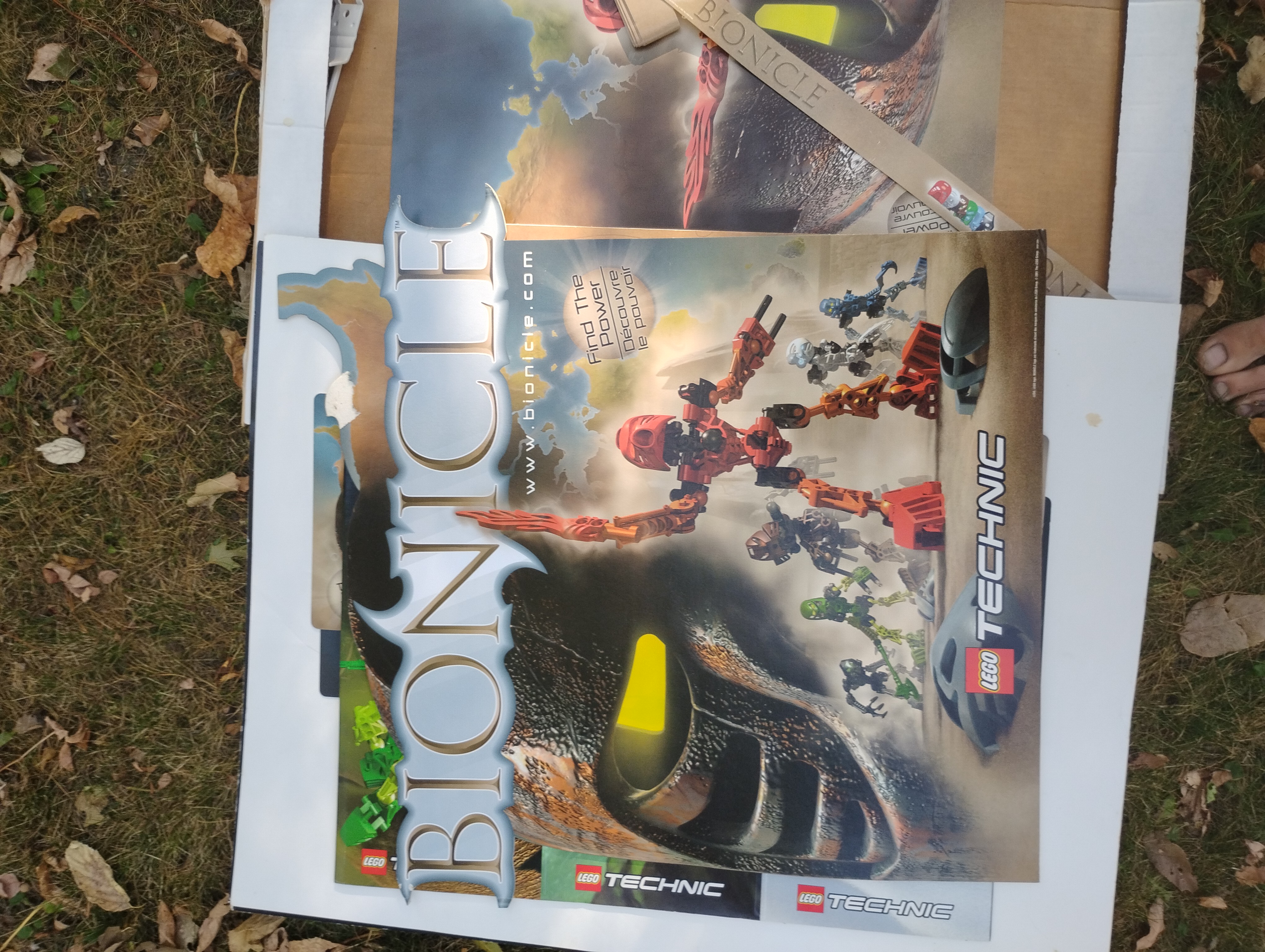 cardboard_display.jpg