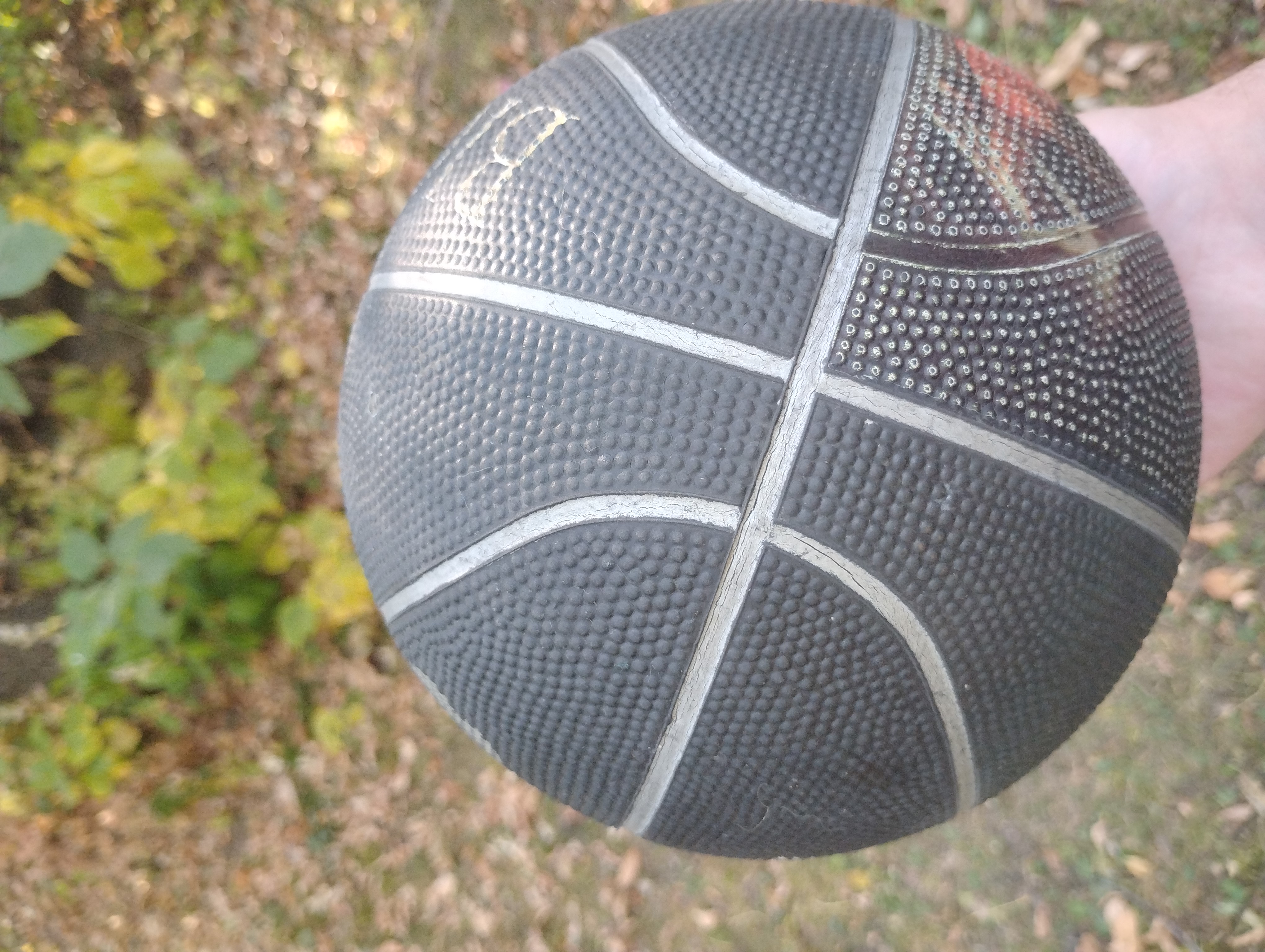 basketball.jpg