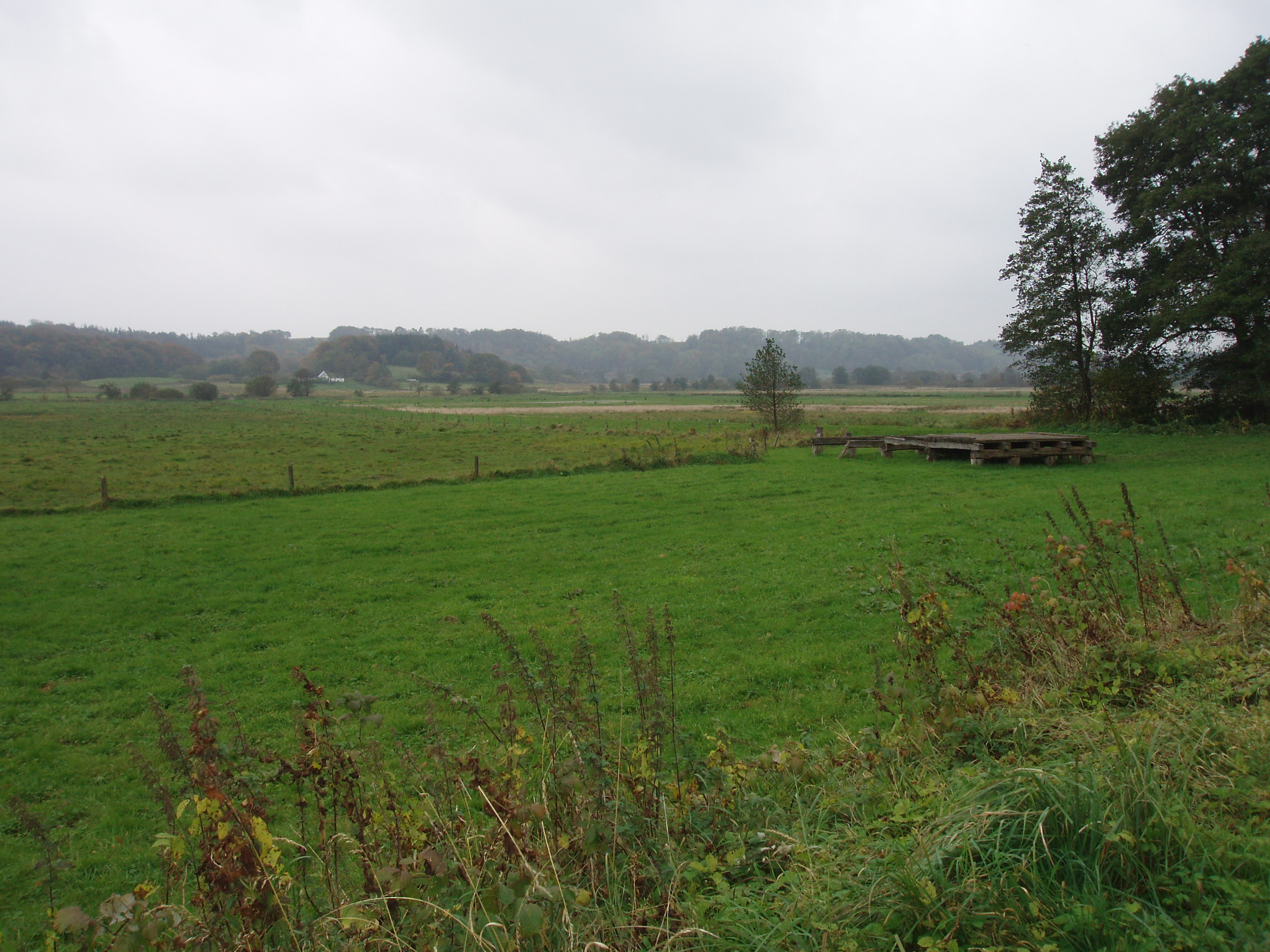 p1010032.jpg