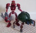 turtle_with_vakama.bmp
