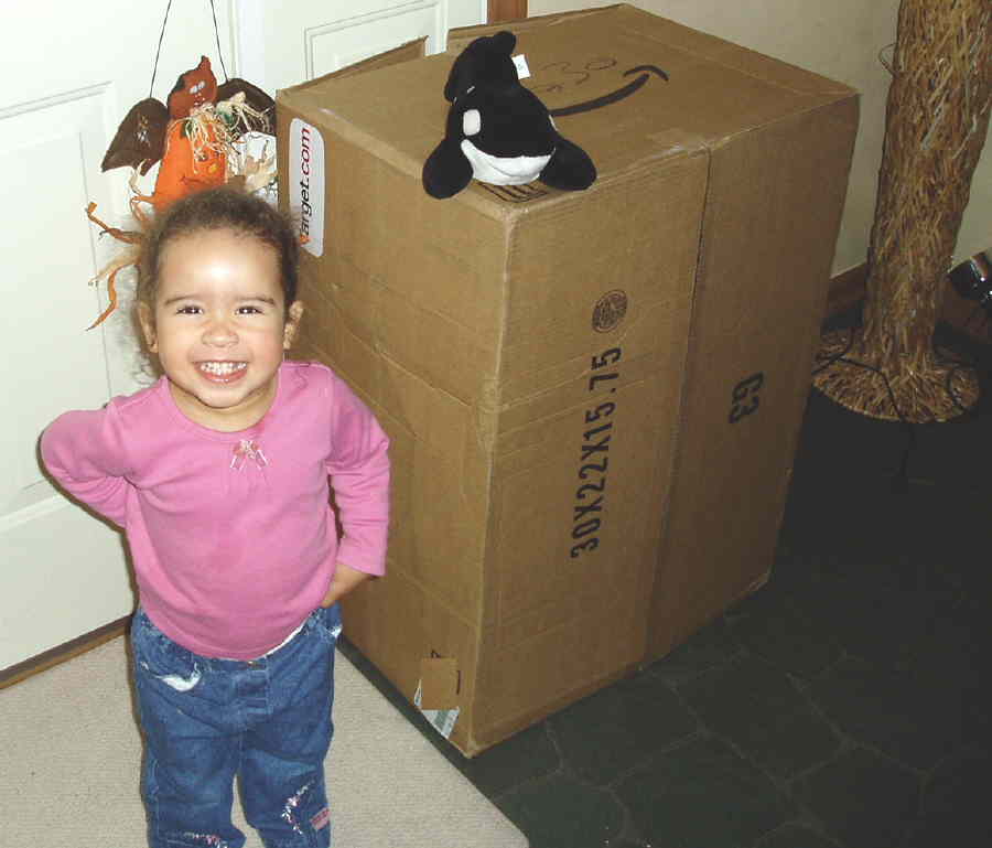 giant_isd_box_bigger_than_corinne.jpg