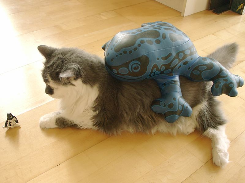 needabiggerfrog.jpg