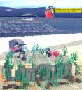 sublecron_11a.jpg