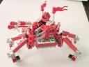 defiler_47.jpg