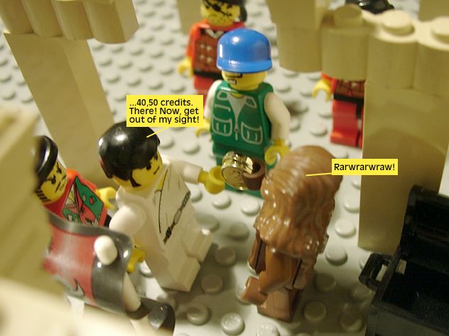 wrapup_13.jpg
