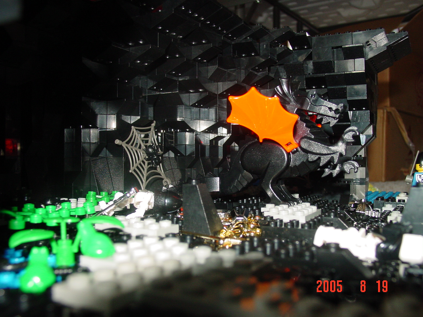dsc01914.jpg