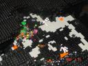 dsc01919.jpg