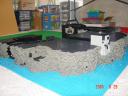 dsc01970.jpg