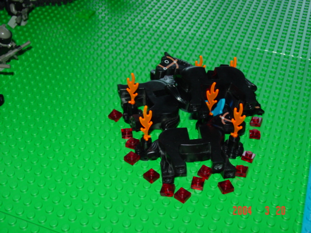 dsc01129.jpg