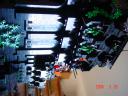 dsc01133.jpg