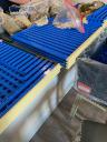 img_0305.jpeg