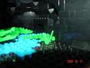 croc_pit3.jpg