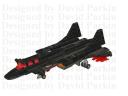 raven-00.jpg