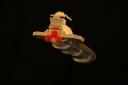 20080507ryans_lego3_007.jpg