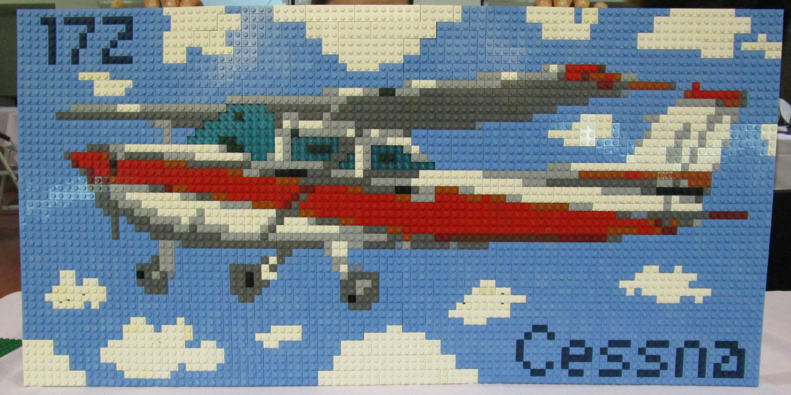 cessna172.jpg