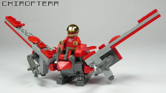 trista_chiroptera_1.jpg