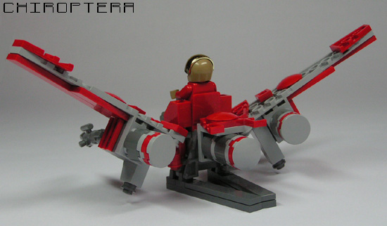 trista_chiroptera_2.jpg