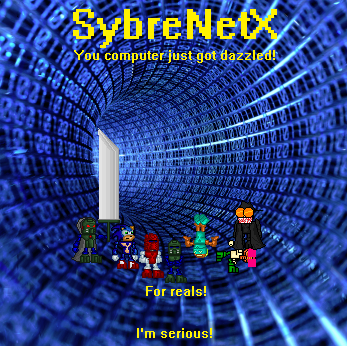 sybrenetx_poster.png