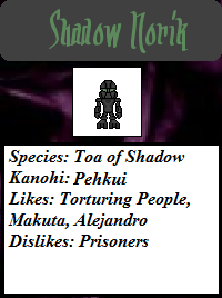 shadow_norik_card.png