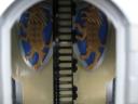 back3.jpg