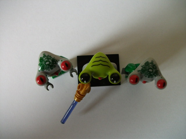 dscf0405.jpg