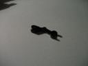 dscf0535.jpg