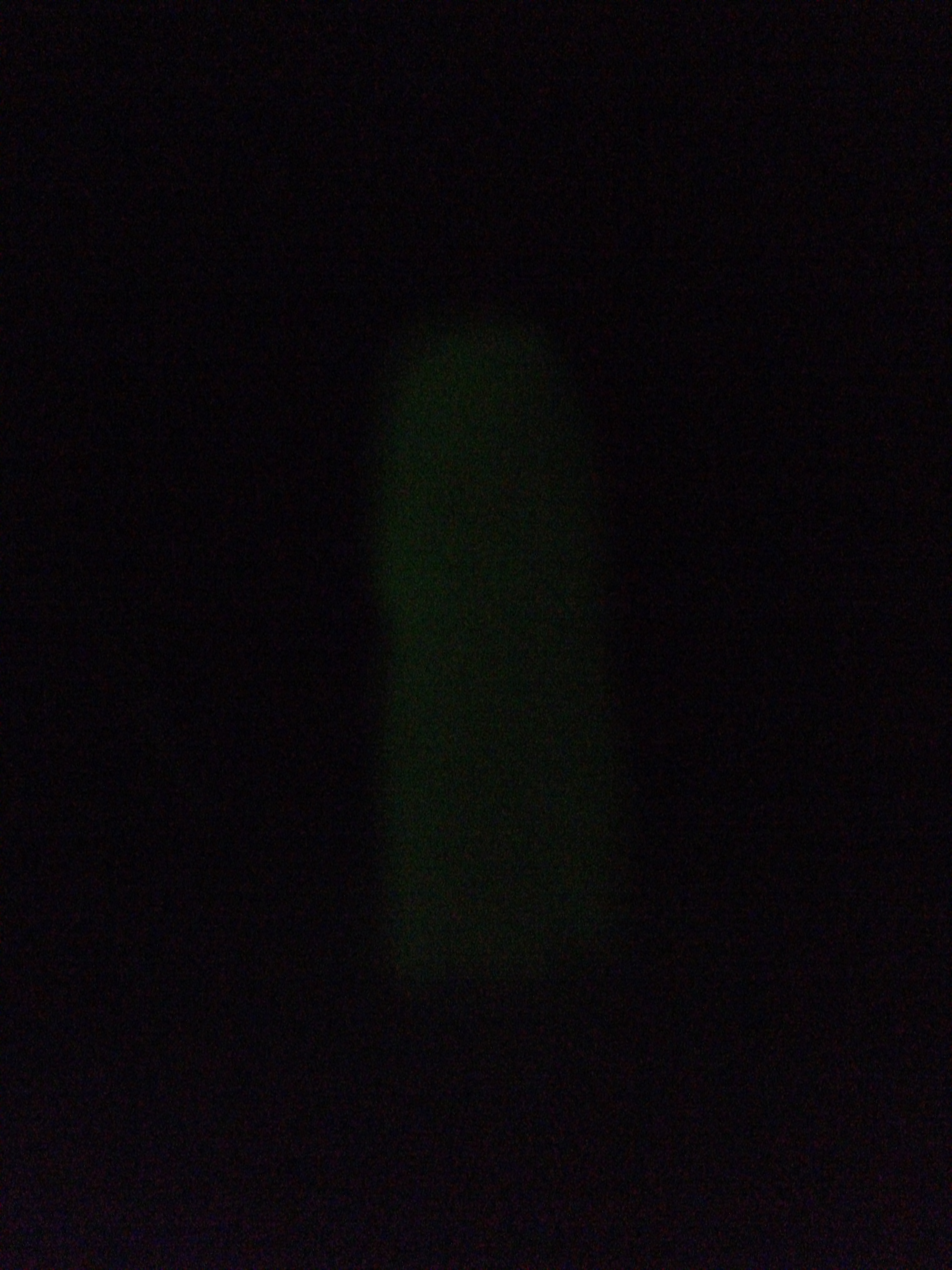 dscf0130.jpg