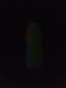 dscf0130.jpg