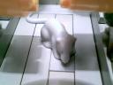 2010-11-04_16-58-30.793.jpg