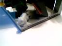 2010-10-19_10-48-33.168.jpg