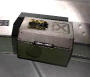 itemshells.jpg