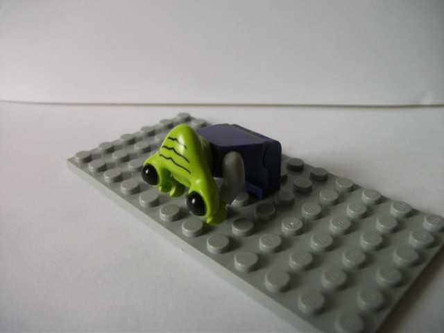 dscf0832.jpg