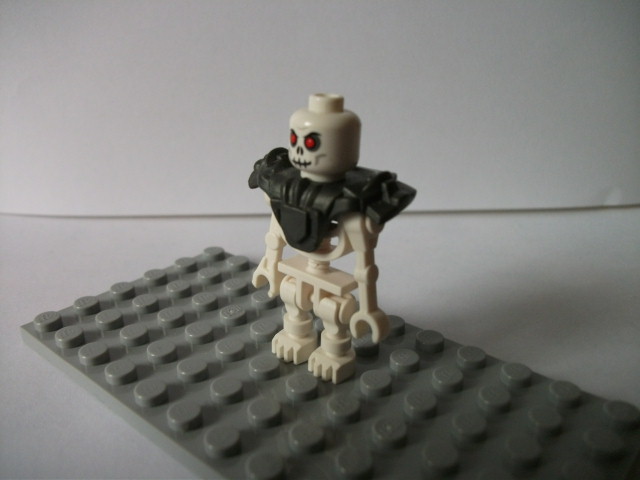 dscf0840.jpg