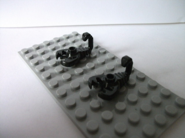 dscf0851.jpg