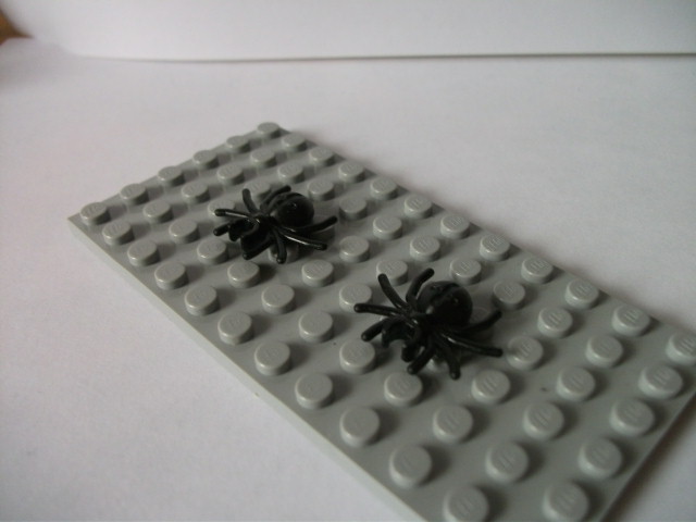 dscf0852.jpg