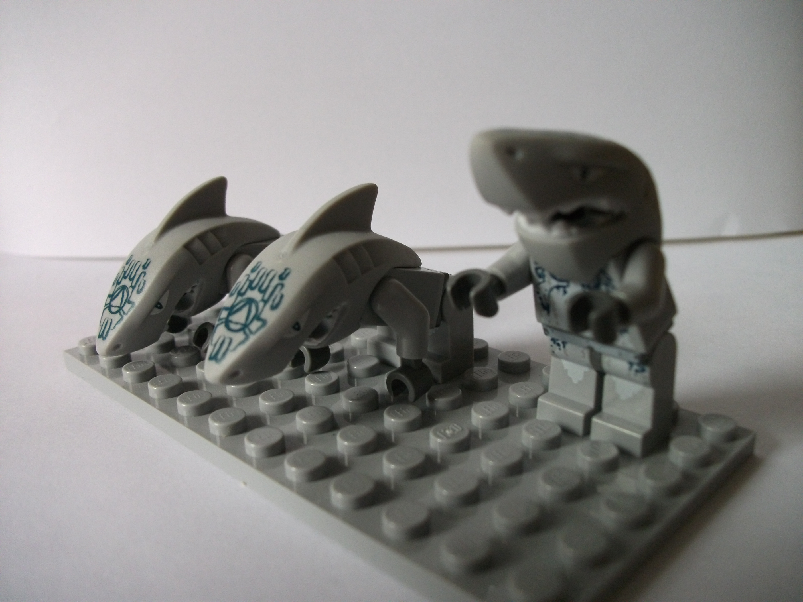 dscf0666.jpg