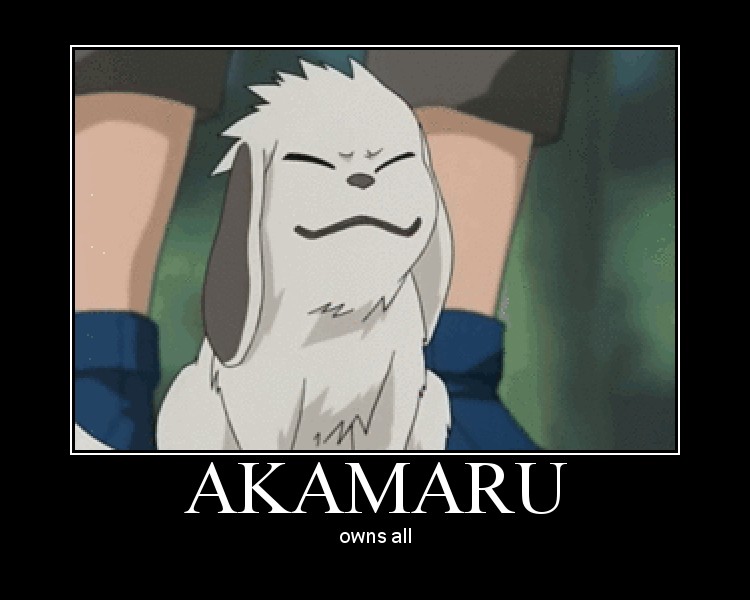 akamaru.jpg