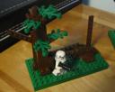 05endor.jpg