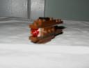 03geonosianfighter.jpg