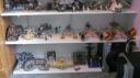 04shelves.jpg