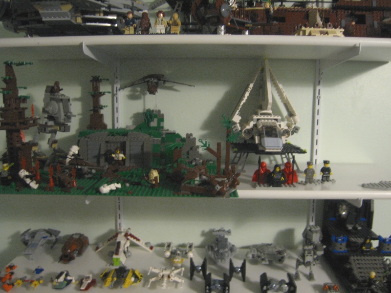 12collection.jpg