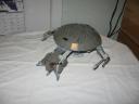 03droidgunship.jpg