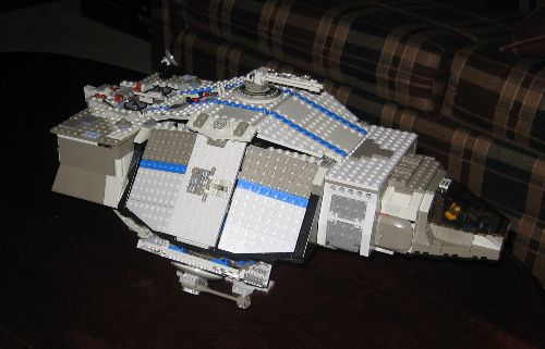 flying_turtle_003.jpg