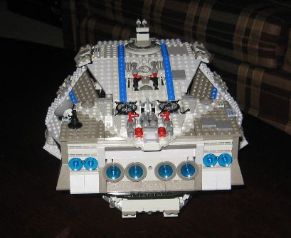 flying_turtle_004.jpg