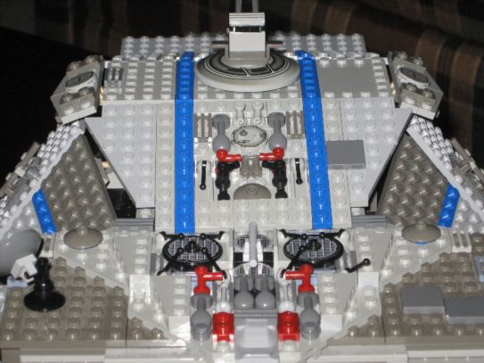 flying_turtle_005.jpg