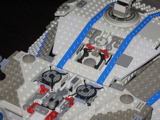 flying_turtle_006.jpg
