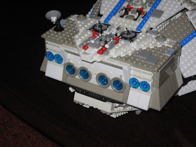 flying_turtle_007.jpg