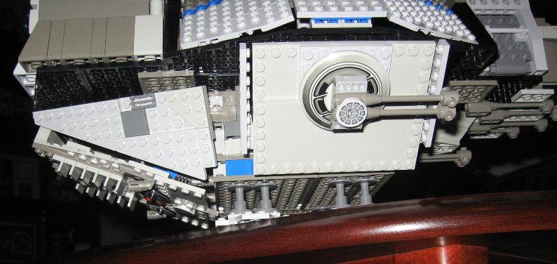flying_turtle_009.jpg