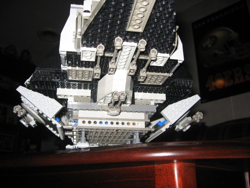 flying_turtle_010.jpg